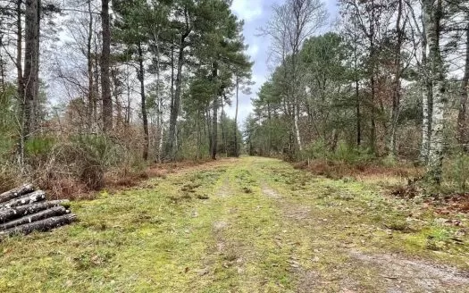 Propriété de 187 hectares