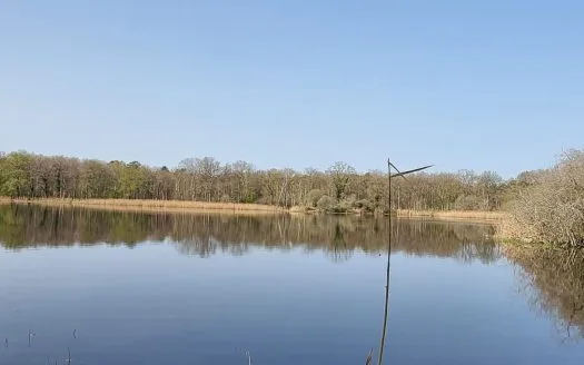 Propriété de chasse de 76 hectares