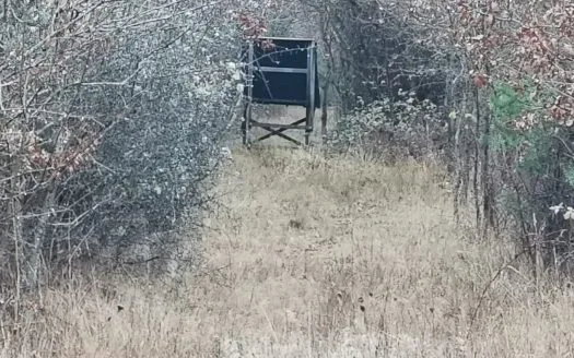 Propriété de chasse sur 15 hectares