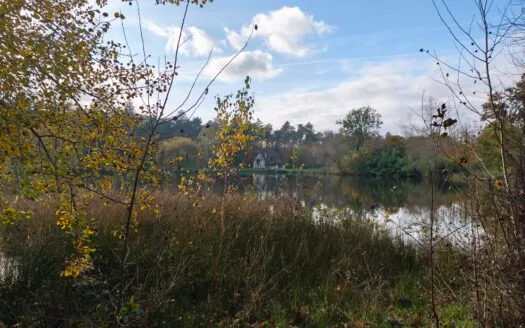 Maison à rafraîchir avec étang et terrain boisé sur 3,7 hectares