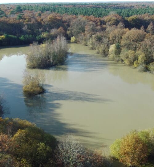 Étang en Sologne