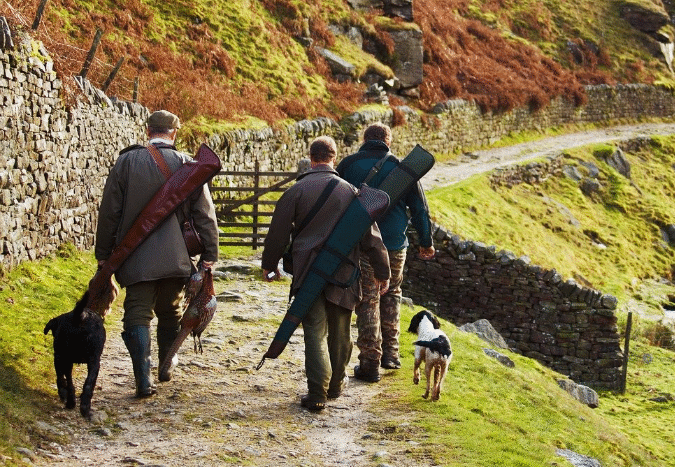 acheter un domaine de chasse