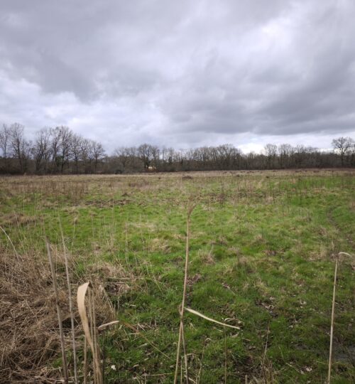 7 hectares de terre agricole